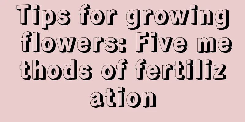 Tips for growing flowers: Five methods of fertilization