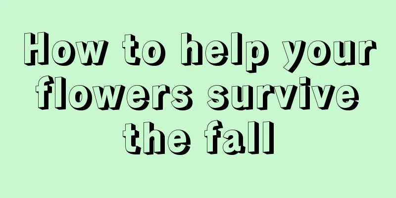 How to help your flowers survive the fall