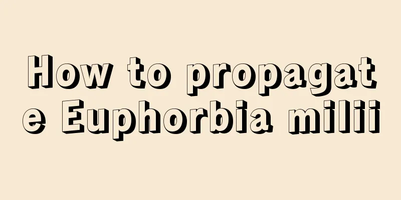 How to propagate Euphorbia milii