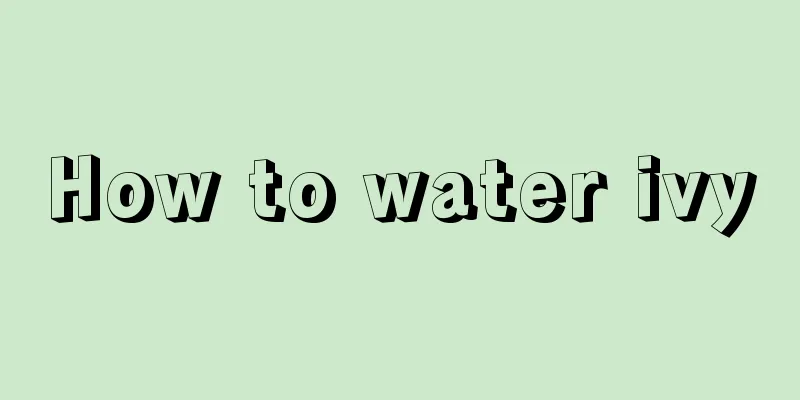 How to water ivy