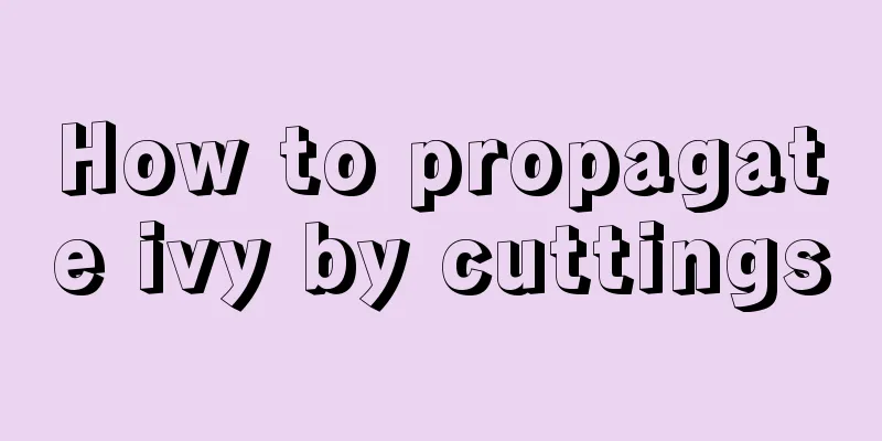 How to propagate ivy by cuttings