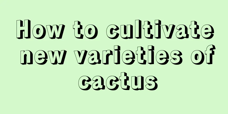 How to cultivate new varieties of cactus