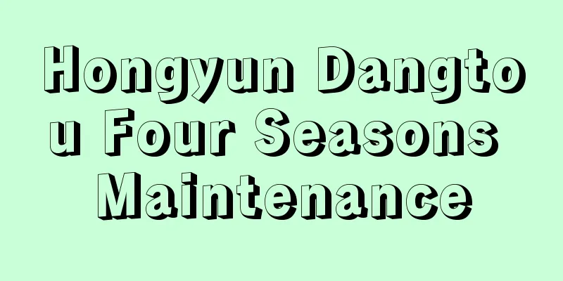 Hongyun Dangtou Four Seasons Maintenance