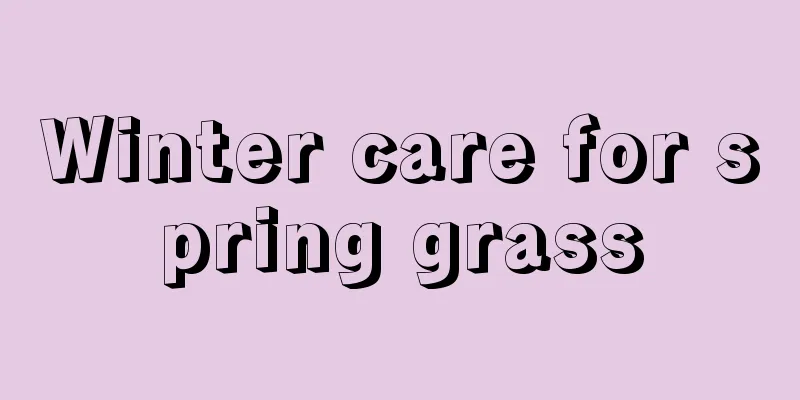 Winter care for spring grass