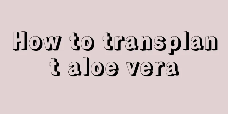 How to transplant aloe vera