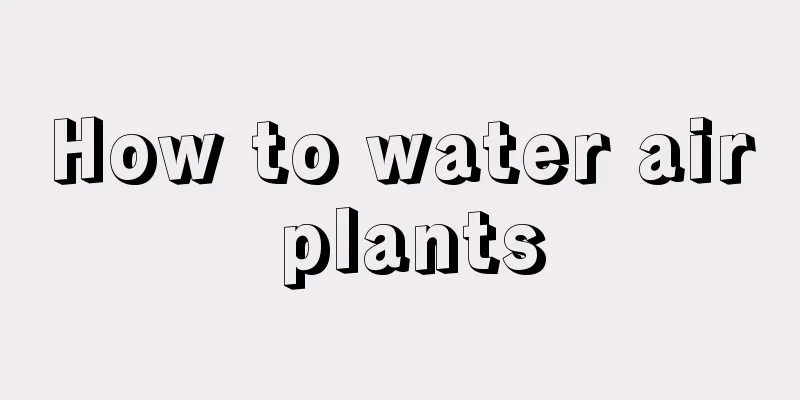 How to water air plants