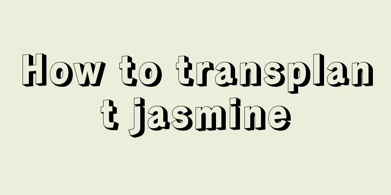 How to transplant jasmine