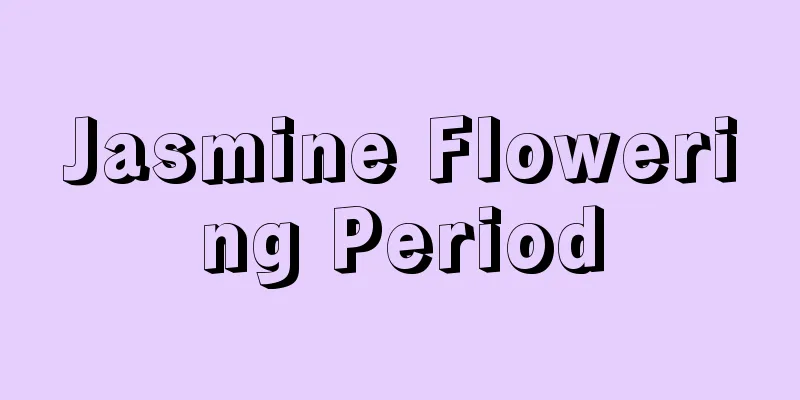 Jasmine Flowering Period