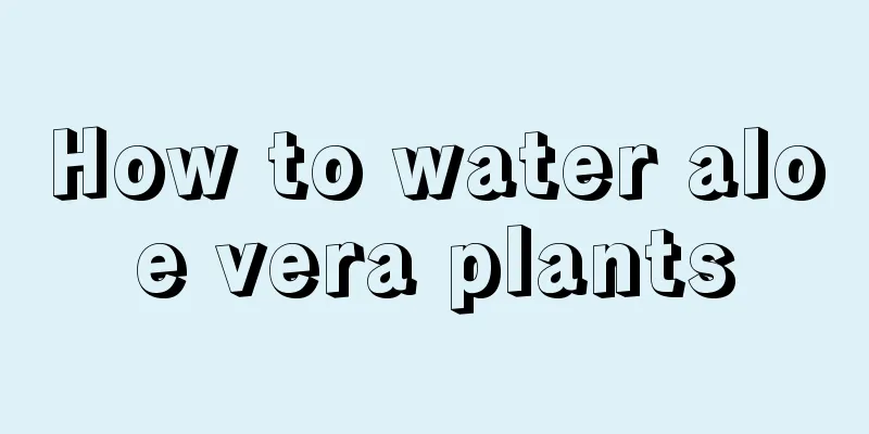 How to water aloe vera plants