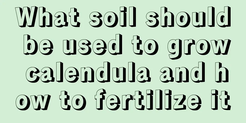 What soil should be used to grow calendula and how to fertilize it