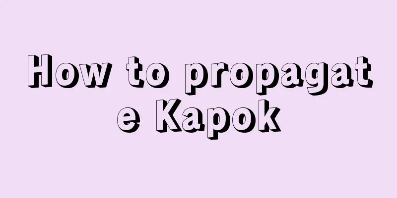 How to propagate Kapok