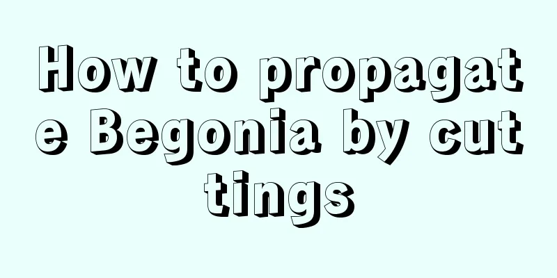 How to propagate Begonia by cuttings