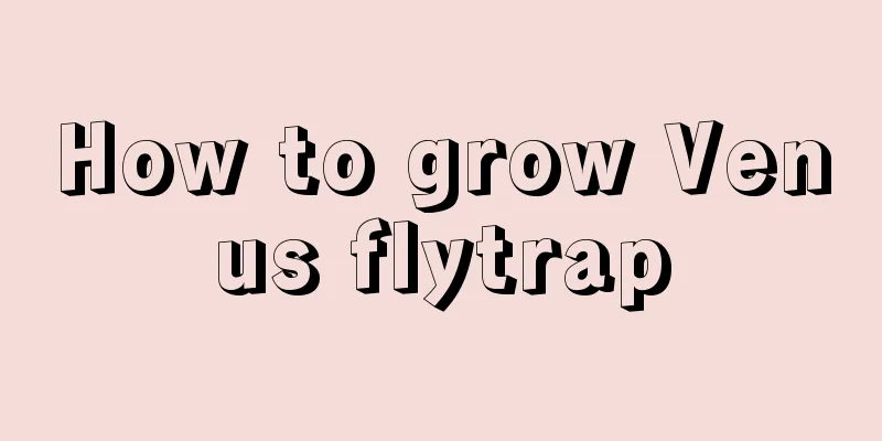 How to grow Venus flytrap