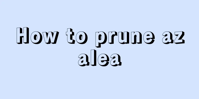 How to prune azalea