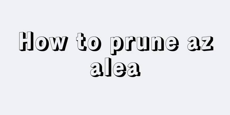 How to prune azalea