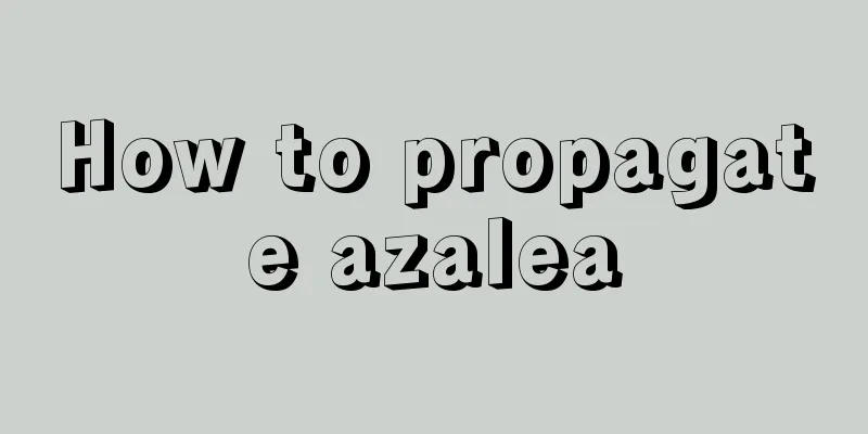 How to propagate azalea