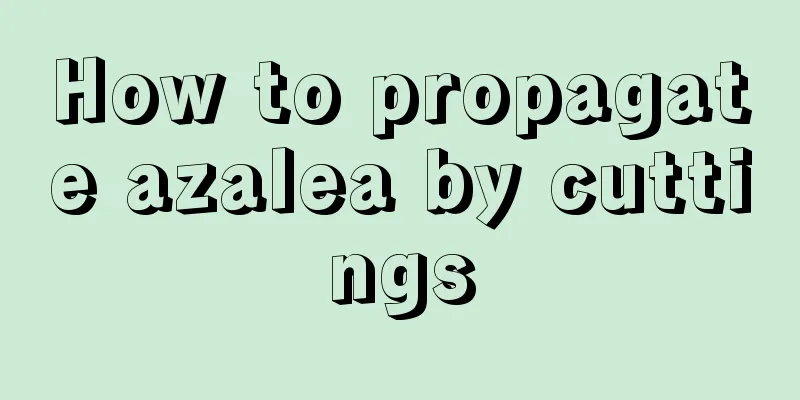 How to propagate azalea by cuttings