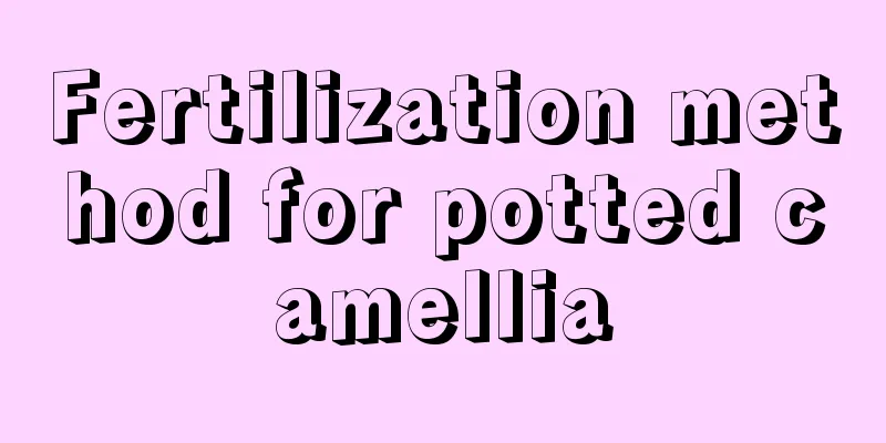 Fertilization method for potted camellia