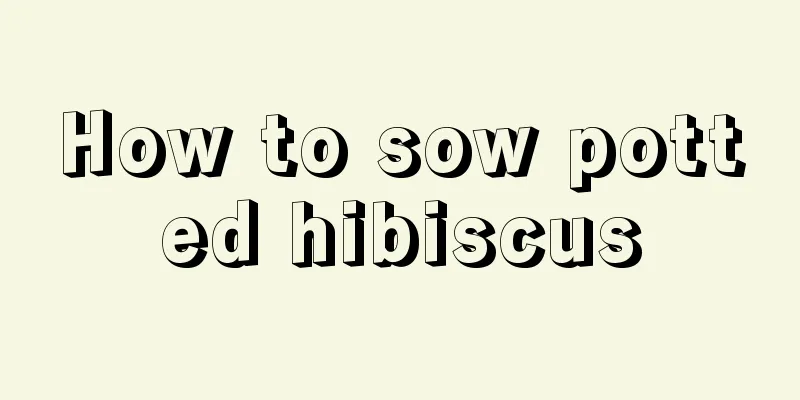 How to sow potted hibiscus