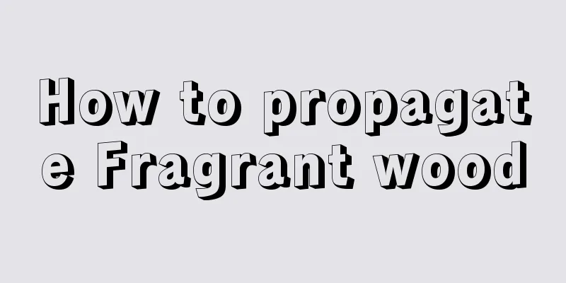 How to propagate Fragrant wood