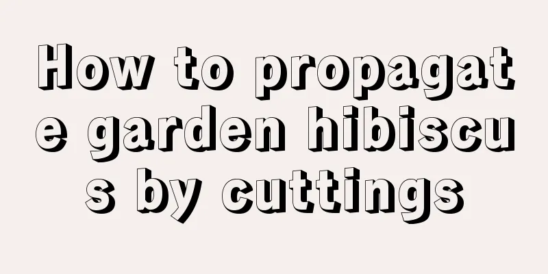 How to propagate garden hibiscus by cuttings