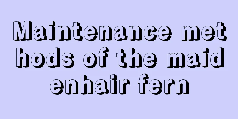 Maintenance methods of the maidenhair fern