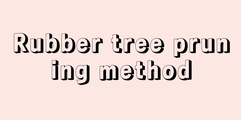 Rubber tree pruning method