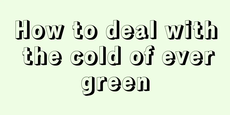 How to deal with the cold of evergreen