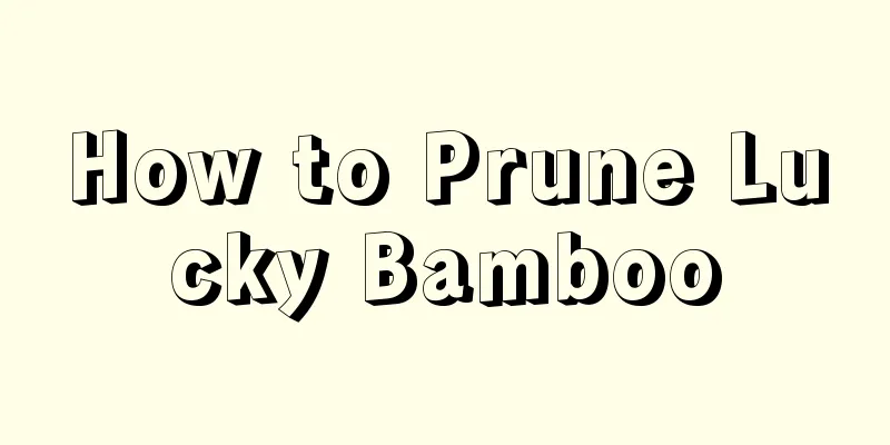 How to Prune Lucky Bamboo