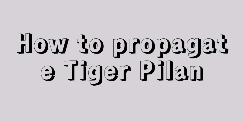 How to propagate Tiger Pilan