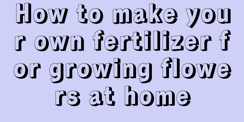 How to make your own fertilizer for growing flowers at home