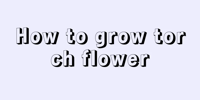 How to grow torch flower