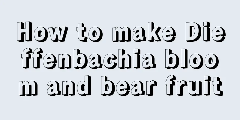 How to make Dieffenbachia bloom and bear fruit