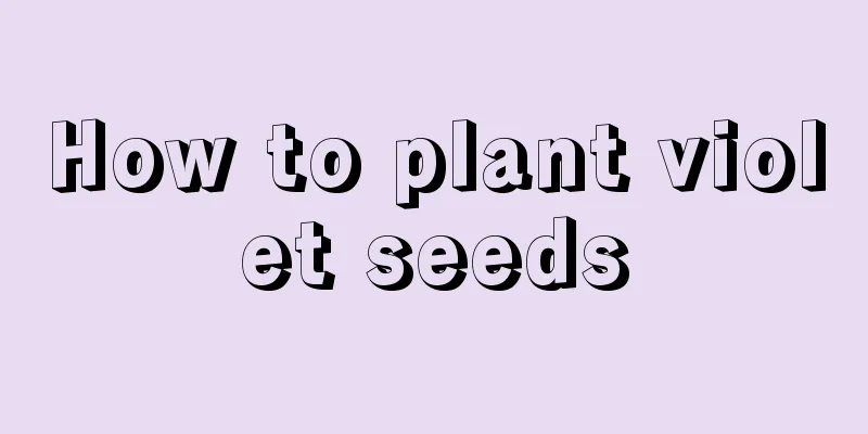 How to plant violet seeds