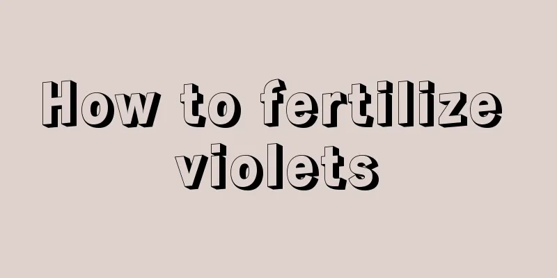 How to fertilize violets