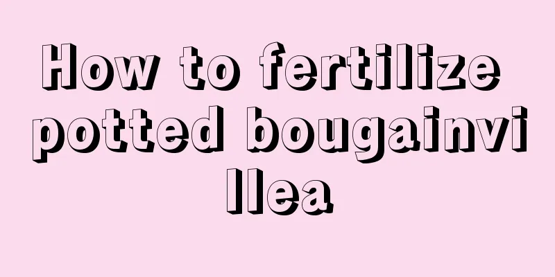 How to fertilize potted bougainvillea