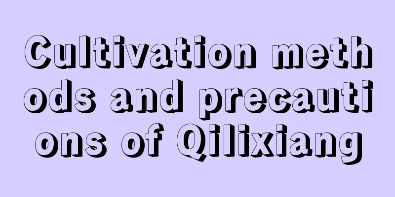 Cultivation methods and precautions of Qilixiang