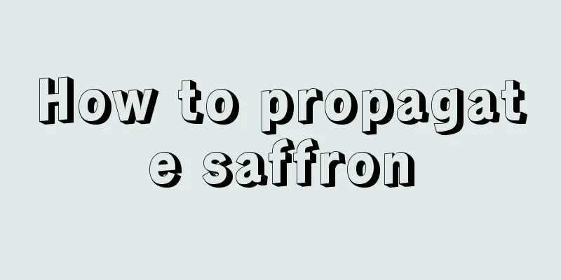 How to propagate saffron