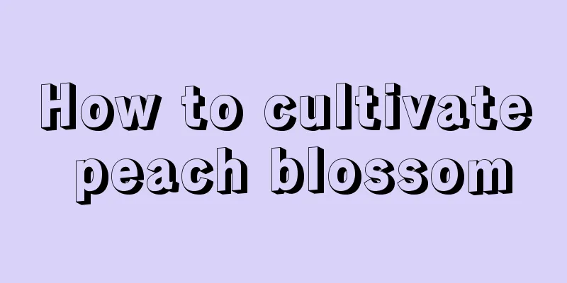 How to cultivate peach blossom