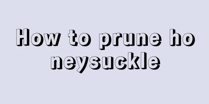 How to prune honeysuckle