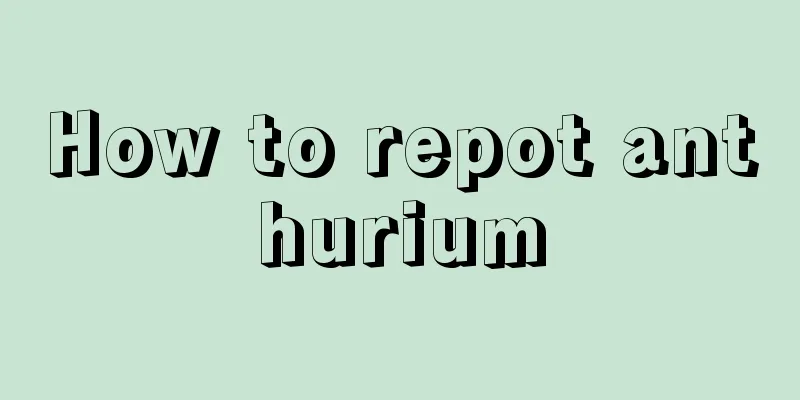 How to repot anthurium