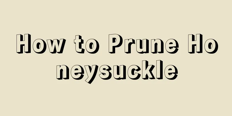 How to Prune Honeysuckle