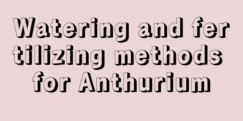 Watering and fertilizing methods for Anthurium