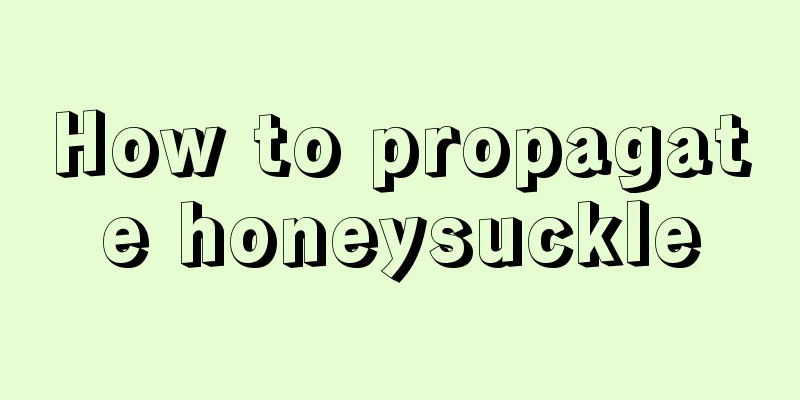 How to propagate honeysuckle