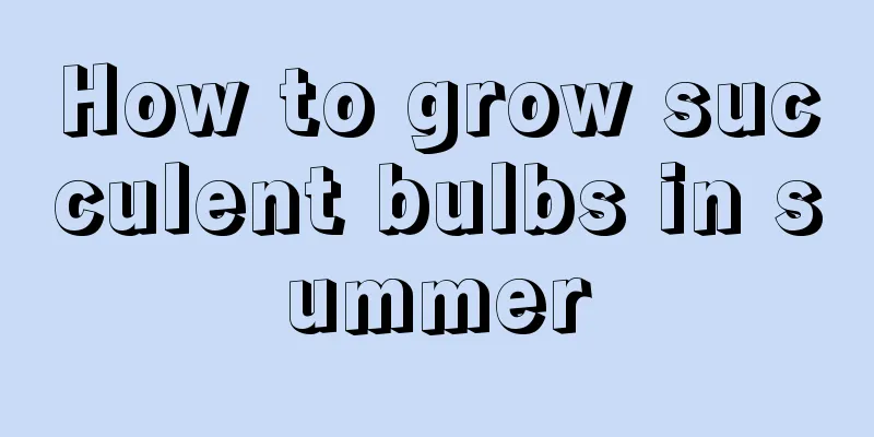 How to grow succulent bulbs in summer