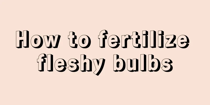 How to fertilize fleshy bulbs