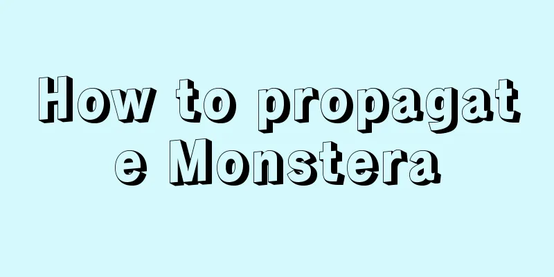 How to propagate Monstera