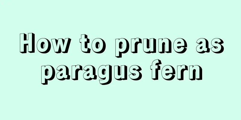 How to prune asparagus fern