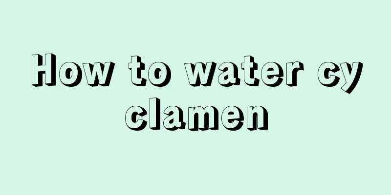 How to water cyclamen