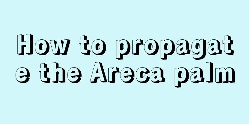 How to propagate the Areca palm